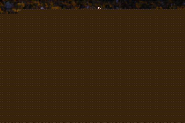 about image